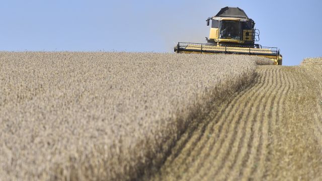 Klimatická změna může připravit Česko o sníh i pšenici